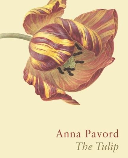 The Tulip. The Story of the Flower That has Made Men Mad.  Rev.& updated. 2019. illus. (col).  XI, 467 p. lex8vo. Hardcover.