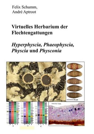 Virtuelles Herbarium zu den Flechtengattungen Hyperphyscia, Phaeophyscia, Physcia, Physconia. 2019. 1500 col. figs. 632 p. Paper bd.
