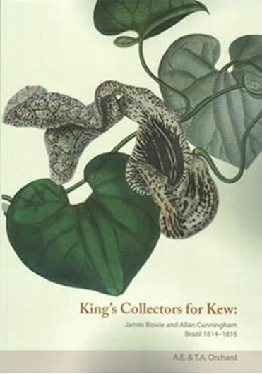 King's Collectors for Kew: James Bowie & Allan Cunningham, Barzil 1814 - 1816. Publ. 2014. 66 (partly col.) figs. VI, 477 p. gr8vo. Paper bd.