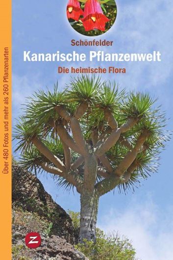 Kanarische Pflanzenwelt: Die heimische Flora. 2018. (Pflanzenwelt der Kanaren, 1). 500 Farbphotogr. 178 S. gr8vo. Softcover.