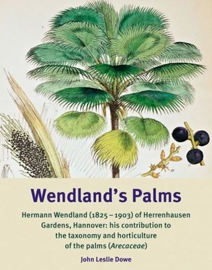 Wendland’s Palms. Hermann Wendland (1825-1903) of Herrenhausen Gardens, Hannover: his contribution to the taxonomy and horticulture of the palms (Arecaceae). 2019. (Englera 36). 23 col. figs. 20 b&w figs. 4 tabs. 137 p. gr8vo. Paper bd.