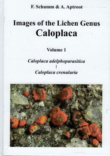 Imagea of the Lichen Genus Caloplaca. Volume 1: Caloplaca adelphoparasitica to Caloplaca crenularia. 2019. approx. 660 col. figs. 683 p. gr8vo. Hardcover.