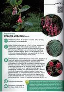 Bosque Andino. Flora de la media y alta montana en ls cuenca del rio Claro. Caldos. 2019.(Colecion Eureka. Serie Pachamama)  illus.(col.). 282 p. Paper bd.- In Spanish.