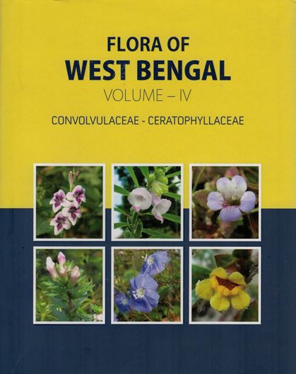 Volume 4: Ed. by T. K. Paul, P. Lakshminarasimhan, S. S. Dash, Paramjit Singh and H. J. Chowdhery: Convulvaceae to Ceratophyllaceae. 2019. (Flora of India. Series 2: State Flora). LXII, 734 p. gr8vo. Hardcover.