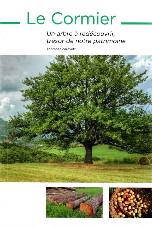 Le Cormier. Un arbre à redécouvrir, trésor de notre patrimoine. 2020. illus 296 p. gr8vo. Paper bd.- In French.