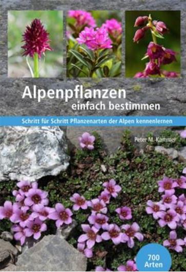 Alpenpflanzen einfach bestimmen. Schritt für Schritt Pflanzenarten der Alpen kennenlernen. 2021. 700 Farbphotogr. 416 S. gr8vo. Paper bd.