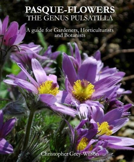 Pasque - Flowers. The Genus Pulsatilla. A Guide for Gardeners, Horticulturists and Botanists. 2021. illus. (col.)  216 p. gr8vo. Hardcover.