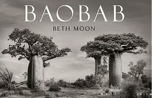 Baobab. 2021. illus. 120 p. 39 x 29 cm. Hardcover.- In French.