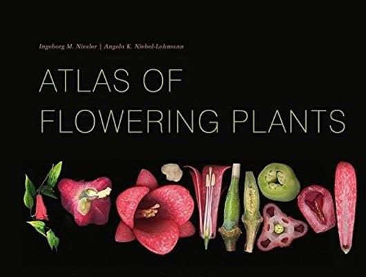 Atlas of Flowering Plants. Visual Studies of 200 Deconstructed Botanical Families. 2021. illus. 264 p. gr8vo. Hardcover.