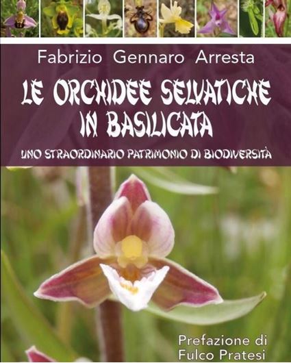 Le orchidee selvatiche in Basilicata. Uno straordinario patrimonio di biodversity. 2019.( Collana Il Ponte Saggistica). illus. 298 p. gr8vo. Paper bd.- In Italian, with Latin nomenclature.
