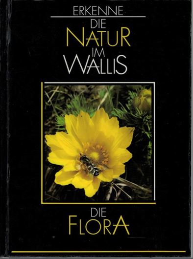 Erkenne die Natur im Wallis. Band 2: Werner, Philippe: Die Flora. 1994. 115 Strichzeichnungen. 36 Farbtafeln. 258 S. gr8vo. Broschiert.