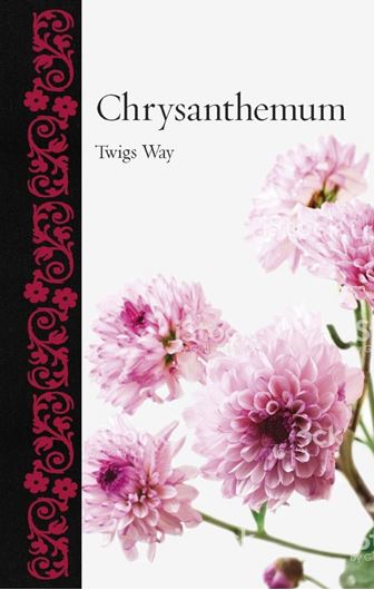 Chrysanthemum. 2020. 100 col. pls. 216 p. gr8vo. Halfcloth.