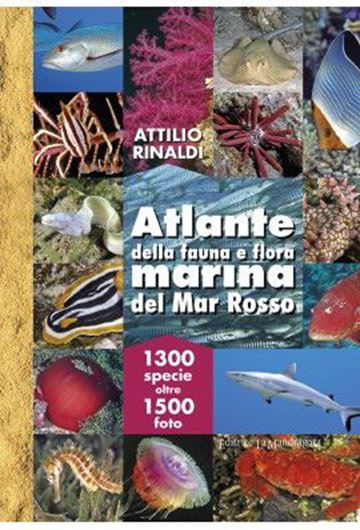 Atlante della fauna e flora marina del Mar Rosso. 2021. 1500 col. photogr. 614 p. gr8vo.- In Italian.