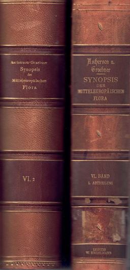 Synopsis der mitteleuropäischen Flora. Band 6, Abtheilung 1-2. 1900 - 1910. 2089 S. gr8vo. Halbleder.