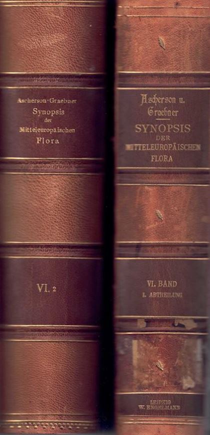 Synopsis der mitteleuropäischen Flora. Band 6, Abtheilung 1-2. 1900 - 1910. 2089 S. gr8vo. Halbleder.