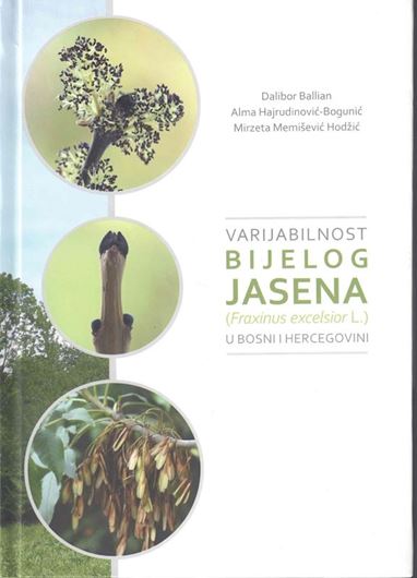 Varijabilnost bijelog jasna (Fraxinus excelsior L.) u Bosni i Herzegovine (Variability of white ash (Fraxinus excelsior L.) in Bosnia and Hercegovina). 2021. illus. (col.) 192 p. - In Bosnian.