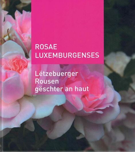Rosae Luxemburgenses. Letzebuerger Rouse geschter & haut. 2022. ca. 200 fiches. gr8vo. In loose leaf binder.