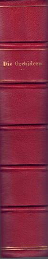 Die Orchideen, ihre Beschreibung, Kultur und Züchtung. 1.te Auflage. 1915. 12 Farbtafeln. 242 Fig. im Text. VIII, 836 S. gr8vo.- Halbleder. - In Schuber.