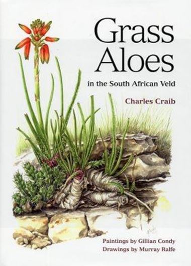 Grass Aloes in the South African Veld. With paintings by Gillian Conday and drawings by Murray Ralfe. 2005. 42 col. paintings. 17 pencil drawings. 28 distrib. maps. XII, 155 p. 4to. Hardcover. - In slipcase.