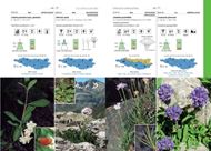 Plantas de las cumbres del Pirineo. Flora del piso alpina. 2020. Many col. photogr.  592 p. - In Spanish, with Latin normenclature.