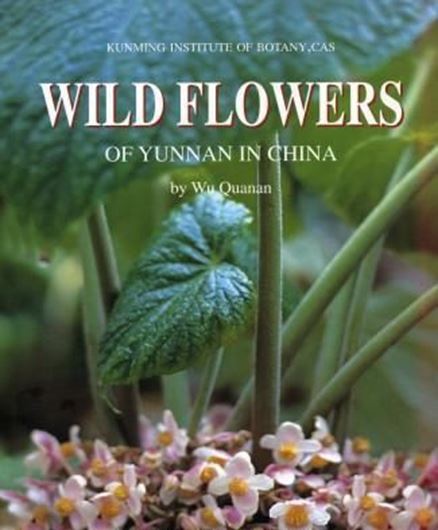  Wild Flowers of Yunnan. 1999. Many col. photographs. V,192 p. 4to. Hardcover. - In English.