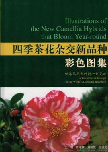 Illustrations of the New Camellia Hybrids that Bloom-Year Round. 2016. Approx. 500 col. photographs. XII, 582 p. 4to. Hardcover.- Bilingual (English / Chinese).