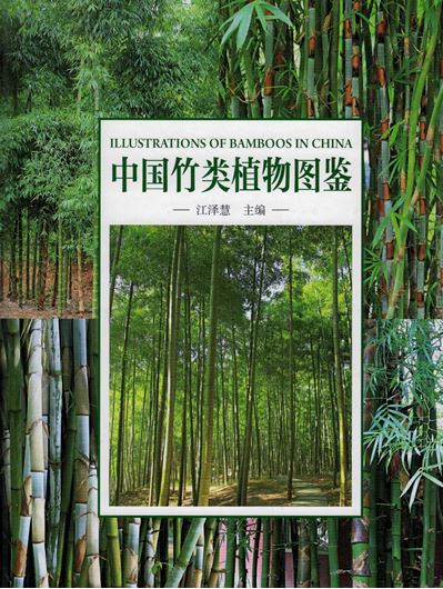 Illustrations of Bamboos in China. 2020. illus.(col.). 299 p. gr8vo. Hardcover. - Chinese, with Latin nomenclature.