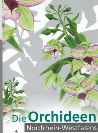 Die Orchideen Nordrhein - Westfalens. 2018.  illus. 400 S.