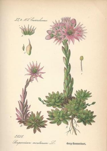 Flora von Deutschland. 5te revid. und verbesserte Auflage von Ernst Hallier. 30 Bände. 1880 - 1888. 3470 Farblithographien, mit Text. Hardcover.
