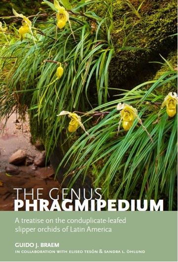The genus Phragmipedium. A treatise on the conduplicate - leafed slipper orchids of Latin America. 2018. 208 (200 col.) figs. 316 p. gr8vo. Hardcover.