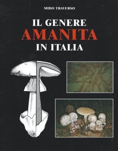 Il Genere Amanita in Italia. Parte generale a cura di Mirca Zotti. 1998. 168 col. photogr. 182 p. gr8vo. Paper bd. -In Italian.
