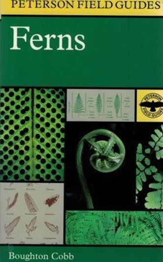  A field guide to ferns and their related families:northeastern and central North America with a section on species also found in the British Isles and Western Europe. 1956. (Peterson Field Guides, Reprint). illus. 281 p. 8vo. Paper bd.