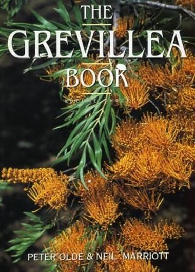  The Grevillea Book. Volume 3: Species M-Z. 1995. 194 col. photogr. 256 p. 4to. Cloth.