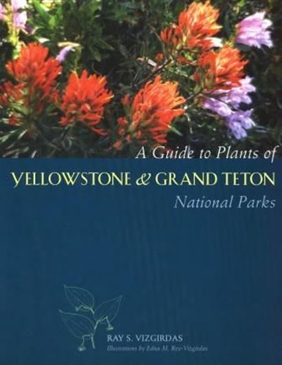  Guide to Plants of Yellowstone and Grand Teton National Parks. Illustrated by Edna M. Rey-Vizgirdas. 2007. 114 b/w drawings. XIII, 391 p. 4to. Paper bd.