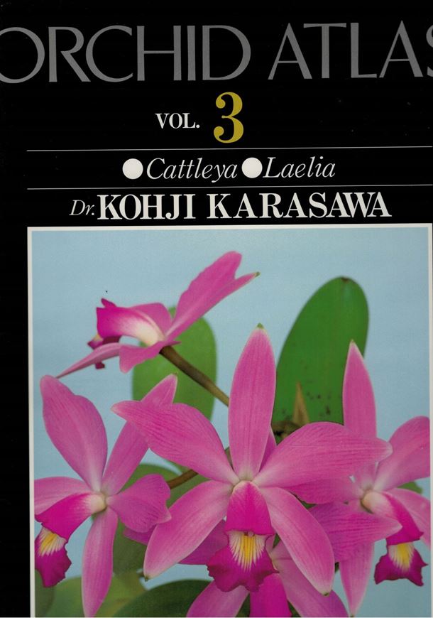 Orchid Atlas. Vol. 3: Cattleya, Laelia. 1988. 291 coloured photographs (many full-page). line-figures. 280 p. Folio. (26 x 37 cm). - Bilingual (full English and Japanese descriptions). - With Japanese and Latin species index. Cloth.