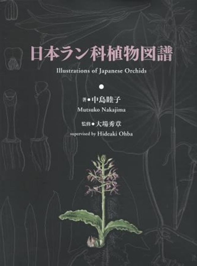 Illustrations of Japanese Orchids. Supervised by Hideaki Ohba. 2012. 8 col. pls. many line - drawings. 395 p. 4to. Hardcover. In Box. - Bilingual (Japanese / English).