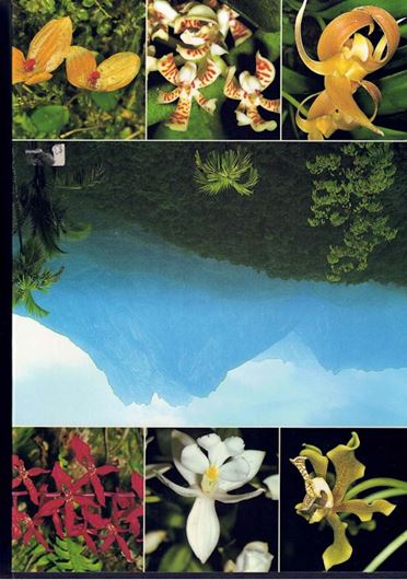 Orchids of Mount Kinabalu. In cooperation with R.S. Beaman, Rimi Repin and Jaap J. Vermeulen. 2 volumes. 2011. illus. 1182 p. 4to. Hardcover.