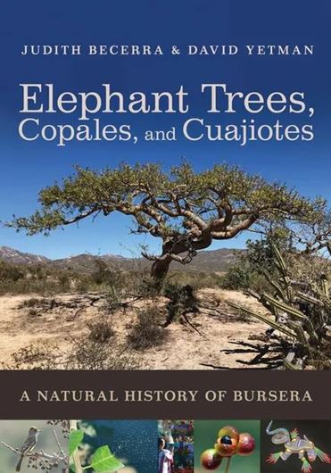 Elephant Trees, Copales, and Cuajiotes A Natural History of Bursera. 2024. 1 tab. 190 col. photogr. 3 maps. 272 p. gr8vo. Paper bd.