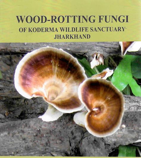 Wood-Rotting Fungi of Koderma Wildlife Sanctuary Jharkhand. 2023. 72 plates (col. photogr.) 91 figs. (line-drawings). LXXII, 219 p. gr8vo. Hardcover with dustcover.