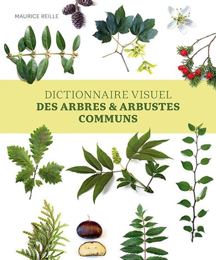 Dictionnaire visuel des arbres et arbustes. Rev. ed. 2023. 1600 gigs. 320 p. gr8vo. Hardcover.