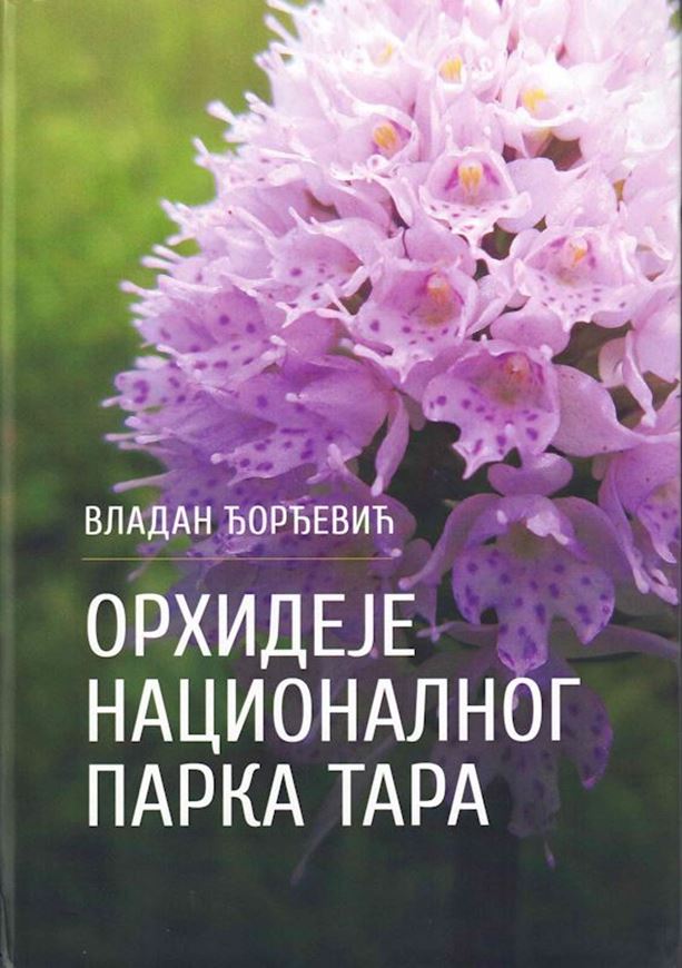 Orchideje Nacionalnog Parka TARA (Orchids of Tara National Park). 2022. illus. (col.). 163 p. gr8vo. Hardcover. - In Serbian, with Latin nomenclature.