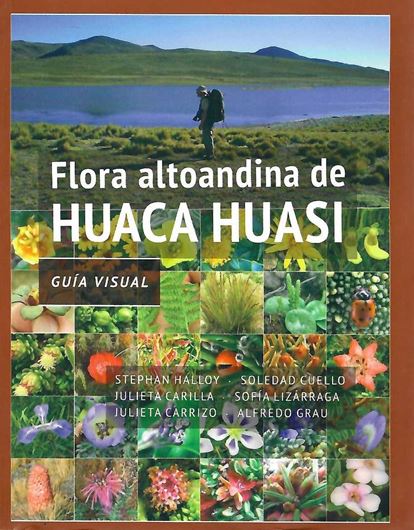 Flora altoandina de Huaca Huasi: guia visual. 2020. 252 p.8vo. - In Spanish