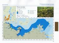 Distribution atlas of submerged macrophytes along the German Baltic Sea coastline. 2022. richly illustrated with col. maps & -photographs. 407 p. 4to. Hardcover.(ISBN 978-3-946583-40-0)