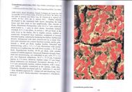 Brazilian Lichens. Volume 7: Rondonia. 2024. illus. (col.). 665 p. gr8vo. Hardcover.