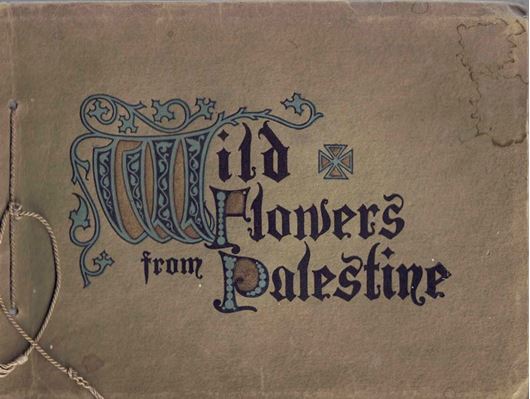 Wild Flowers of Palestine Gathered and Pressed by Harvey B. Greene. With an inroduction by Selah Merrill, Consule at Jerusalem. (No publication year). 15 pressed plants fiexed on pages with text opposite. 19 x 14 cm.