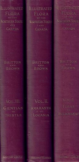 An Illustrted Flora of the Northern United Sates, Canada and the British Possessions from Newfoundland to the Parallel of the Southern Boundary of Virginia, and from the Atlantic Ocean Westward to the 120d Meridian.  2nd  rev and enlarged edition. 3 volumes. 1913. illus.(line drawings. 2052 p. Large 4to. Hardcover.