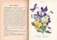 Les Fleurs de Jardin. 3 vols. 1928-1934. (Encyclopédie Pratique du Naturaliste, XV, XVI, XVII).192 col. pls. CCIC,  242 p. 8vo. Hardcover.