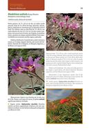 Flores de Alta Montana de los Andes Patagonicos / High Mountain Flowers of the Patagonian Andes. 2nd rev. and augmented ed. 2020. 1043 col. photogr. 319 p. Paper bd.- Bilingual (Spanish / English).