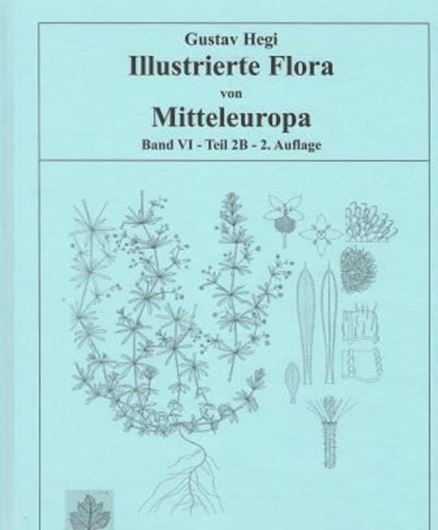  Illustrierte Flora von Mitteleuropa.2.Auflage. Band 6:2:B. Kästner,Arndt, Friedrich Ehrendorfer: Spermatophyta: Angiospermae: Dicotyledones 4: Rubiaceae. 2016. 145 Fig. 19 Farbtafeln. 356 S. 4to. Hardcover.