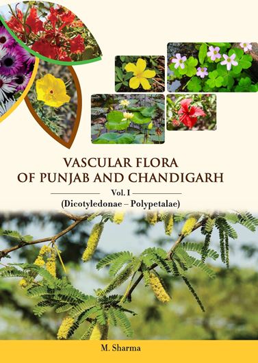 Vascular Flora of Punjab and Chandigarh. 3 volumes.ca 400 col. photogr. 240 line drawings. 2021. XXII, 2102 p. gr8vo. Hardcover.